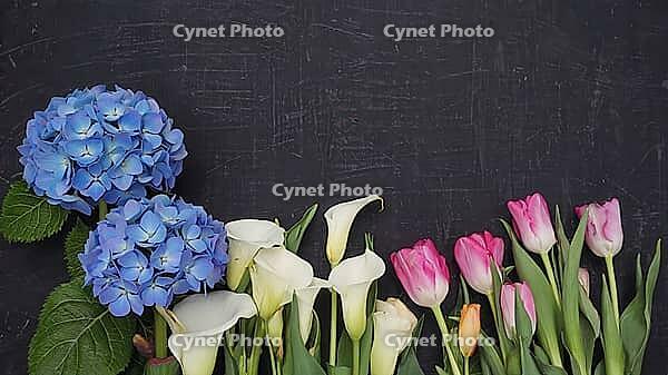 Beautiful fresh cut flowers creating a colorful border on a dark textured background with copy space, AI generated [IBR125653469]