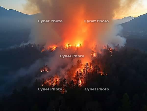 Aerial view of a large forest fire burning through trees at sunset, AI generated [IBR125653478]