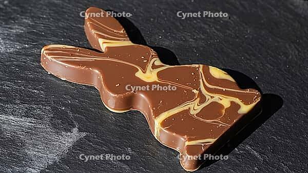 Melting milk and white chocolate Easter bunny resting on a dark surface, catching sunlight and creating a delightful springtime scene, AI generated [IBR125653500]