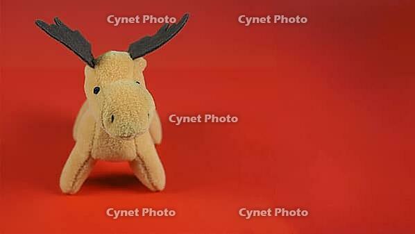 Christmas greeting card with deer moose with copy space [IBR125654788]