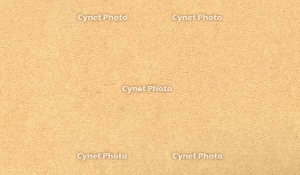 Brown cardboard texture useful as a background [IBR125654820]