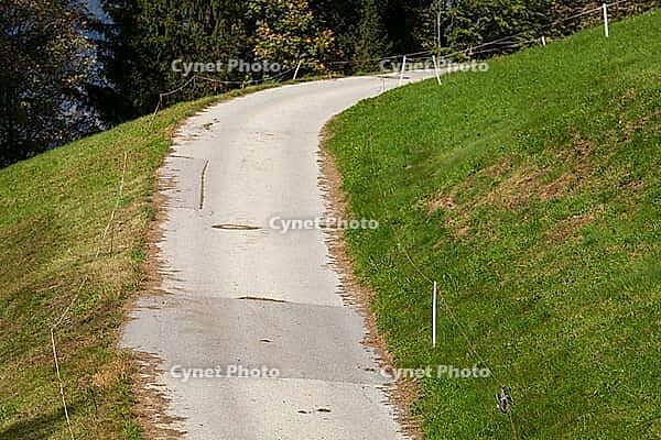Forest with road in Voldertal, Volders, Tyrol, Austria [IBR125657390]