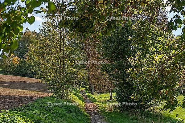 Autumnal hiking trail in Trubachtal, Egloffstein, Upper Franconia, Bavaria, Germany [IBR125657396]