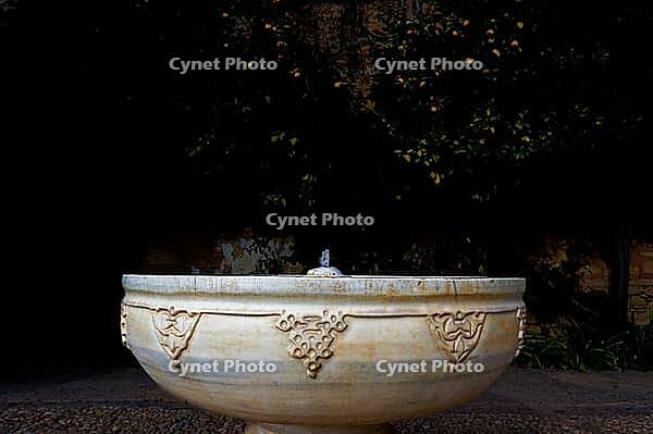An ornate stone fountain bowl stands in the light against a dark garden surrounded by trees, Alhambra, Granada, Granada province, Andalusia, Spain [IBR125657409]