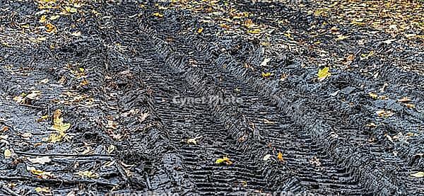 A forest path has been completely transformed into deep, wet mud and mud. The distinctive tire tracks (driving lanes) of heavy forest vehicles or tractors have dug deep into the dark ground and leave a striking, textured profile, Berlin, Germany [IBR125657412]