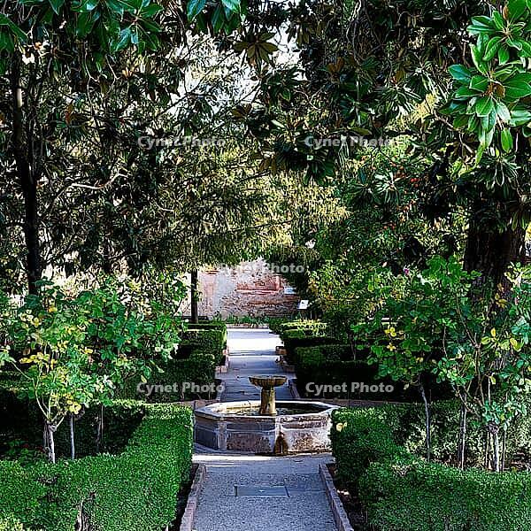 A narrow garden path leads under a dense canopy to a stone fountain, Generalife, Garden of the Sultan, Jardín de la Sultana, Alhambra, Granada, Province of Granada, Andalusia, Spain [IBR125657417]