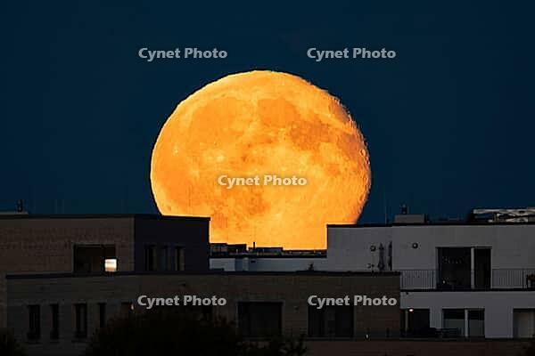 The full moon rises behind the houses of the Riedberg district of Frankfurt. The full moon in October is traditionally also called the hunter's moon, Riedberg, Frankfurt am Main, Hesse, Germany [IBR125657427]