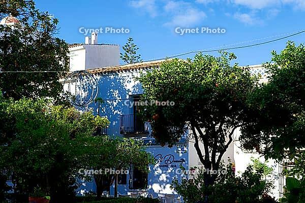 A blue and white house lies partially hidden behind lush trees, its leaves casting shadows in bright sunlight, Estepona, Costa del Sol, Andalusia, Province of Malaga, Spain [IBR125657431]