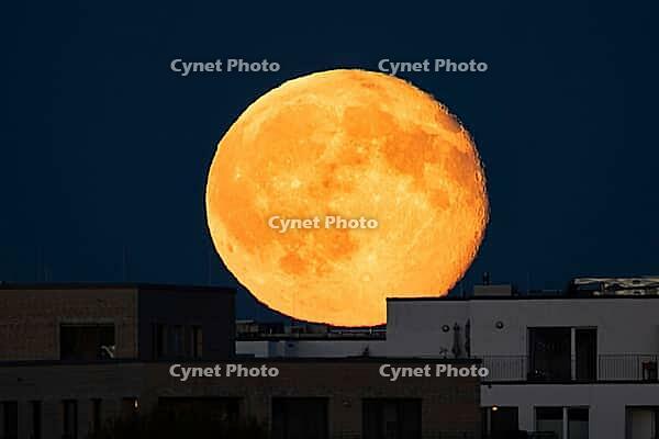 The full moon rises behind the houses of the Riedberg district of Frankfurt. The full moon in October is traditionally also called the hunter's moon, Riedberg, Frankfurt am Main, Hesse, Germany [IBR125657436]