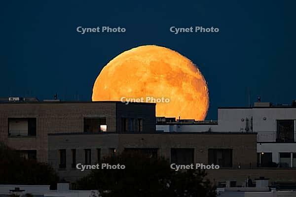 The full moon rises behind the houses of the Riedberg district of Frankfurt. The full moon in October is traditionally also called the hunter's moon, Riedberg, Frankfurt am Main, Hesse, Germany [IBR125657441]