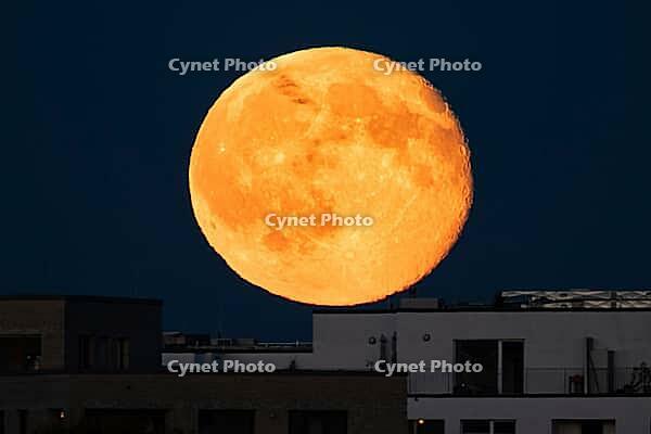 The full moon rises behind the houses of the Riedberg district of Frankfurt. The full moon in October is traditionally also called the hunter's moon, Riedberg, Frankfurt am Main, Hesse, Germany [IBR125657445]