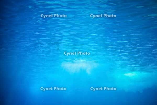 Low-angle underwater view of the rippled blue water surface, white air bubbles, and soft light rays [IBR125657446]