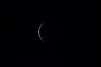 月齢28 [XBK110002952]