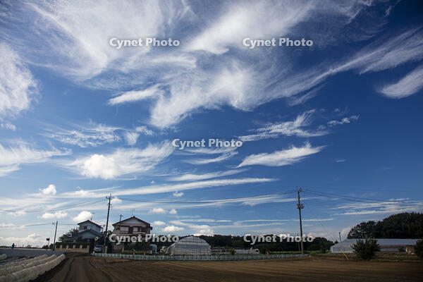 積雲　綿雲 [XBK110002885]