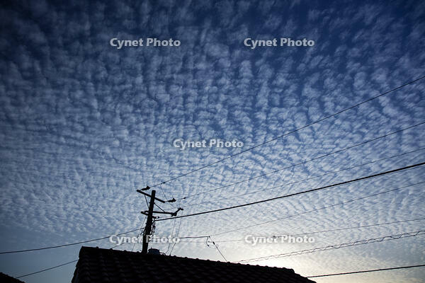 巻積雲　うろこ雲 [XBK110002895]
