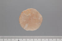 貨幣石の化石　イタリア産 [XCE110002174]