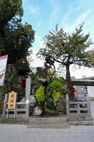 神田明神の獅子山 [SIS110001516]