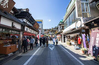 成田山新勝寺の表参道 [SIS110001524]
