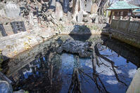 成田山新勝寺の仁王池 [SIS110001536]