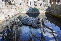 成田山新勝寺の仁王池 [SIS110001537]