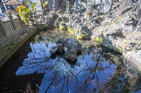 成田山新勝寺の仁王池 [SIS110001538]