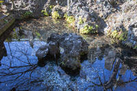 成田山新勝寺の仁王池 [SIS110001539]