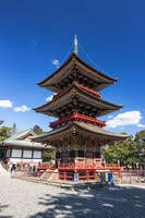 成田山新勝寺の三重塔 [SIS110001546]