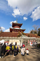 成田山新勝寺の平和大塔 [SIS110001548]
