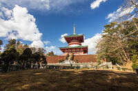成田山新勝寺の平和大塔 [SIS110001550]