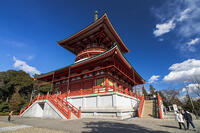 成田山新勝寺の平和大塔 [SIS110001561]