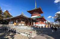 成田山新勝寺の醫王殿と平和大塔 [SIS110001562]