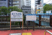 目黒川 [SIS110001615]