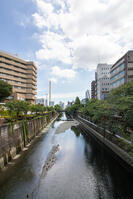 目黒川 [SIS110001616]