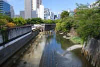 目黒川 [SIS110001622]