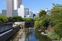 目黒川 [SIS110001623]