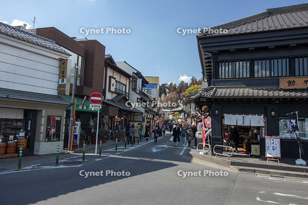 成田山新勝寺の表参道 [SIS110001521]