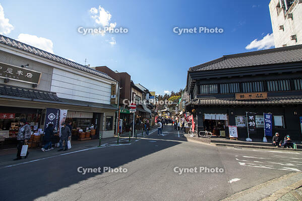 成田山新勝寺の表参道 [SIS110001522]