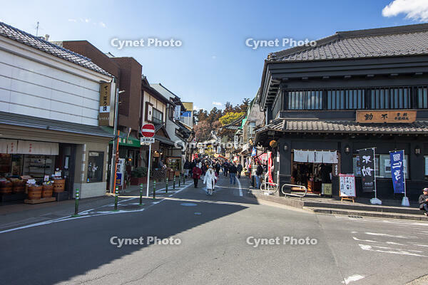 成田山新勝寺の表参道 [SIS110001523]