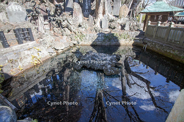 成田山新勝寺の仁王池 [SIS110001536]