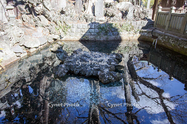 成田山新勝寺の仁王池 [SIS110001537]