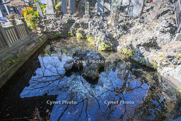 成田山新勝寺の仁王池 [SIS110001538]