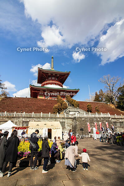 成田山新勝寺の平和大塔 [SIS110001548]