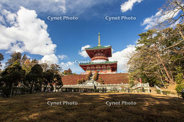 成田山新勝寺の平和大塔 [SIS110001550]