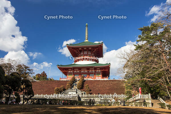 成田山新勝寺の平和大塔 [SIS110001551]