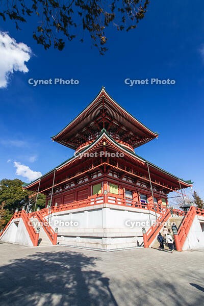 成田山新勝寺の平和大塔 [SIS110001559]