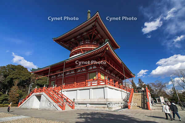 成田山新勝寺の平和大塔 [SIS110001561]
