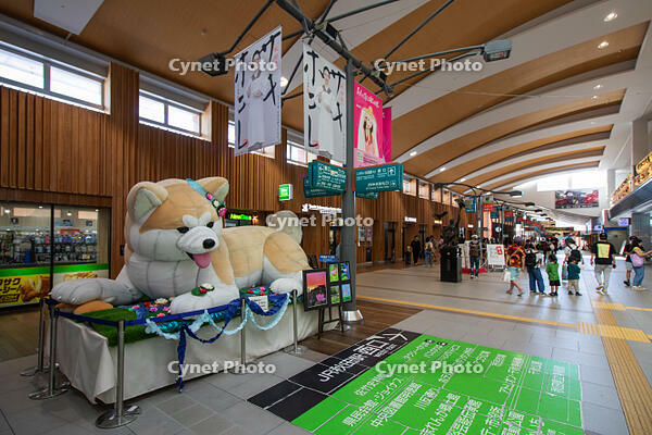 秋田駅構内 [SIS110001599]