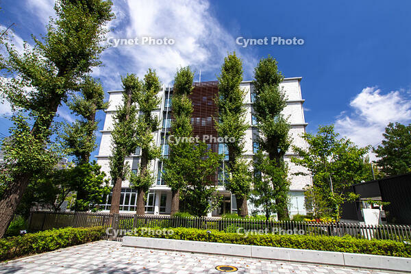 知的財産高等裁判所 [SIS110001612]