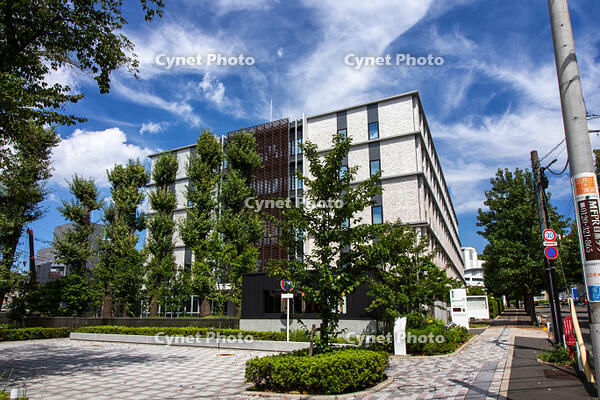 知的財産高等裁判所 [SIS110001614]