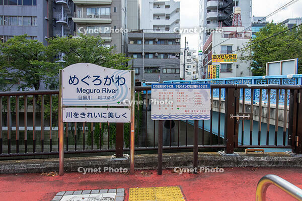 目黒川 [SIS110001615]